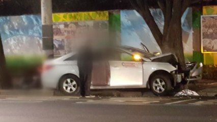 택시 운전하다 가로수 쾅...승객 부상 / YTN