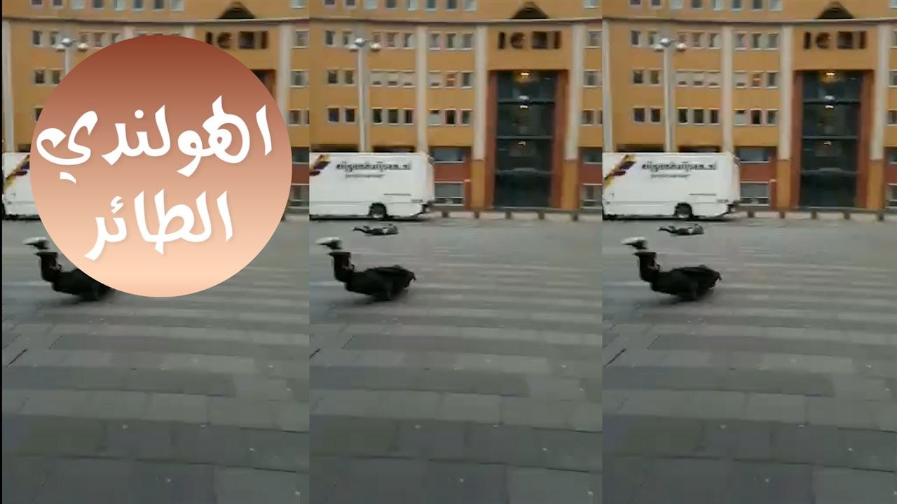 الرجل الهولندي الطائر