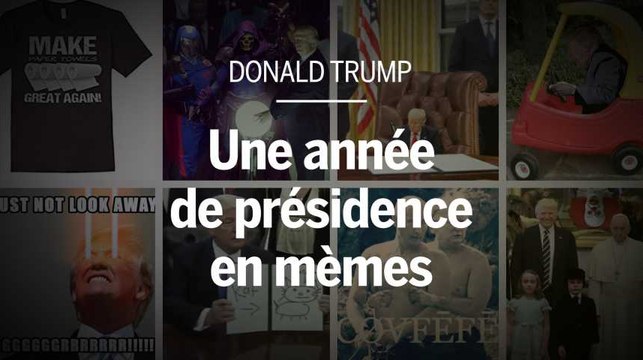 Donald Trump : une année de présidence en mèmes