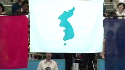 한반도기 노태우 정부 때 첫 사용..."반대는 위법" / YTN