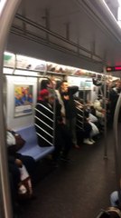 Pigeon Subway Passenger