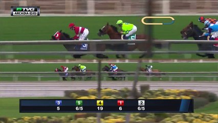 RACE REPLAY: 2017 Arcadia Stakes Featuring Bolo