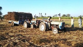 Hilarious incident of tractor fails with loaded trolley pulling fail[Best Tractor Junction ]