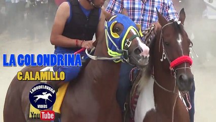 CARRERAS DE CABALLOS **EL SICARIO VS LA GOLONDRINA