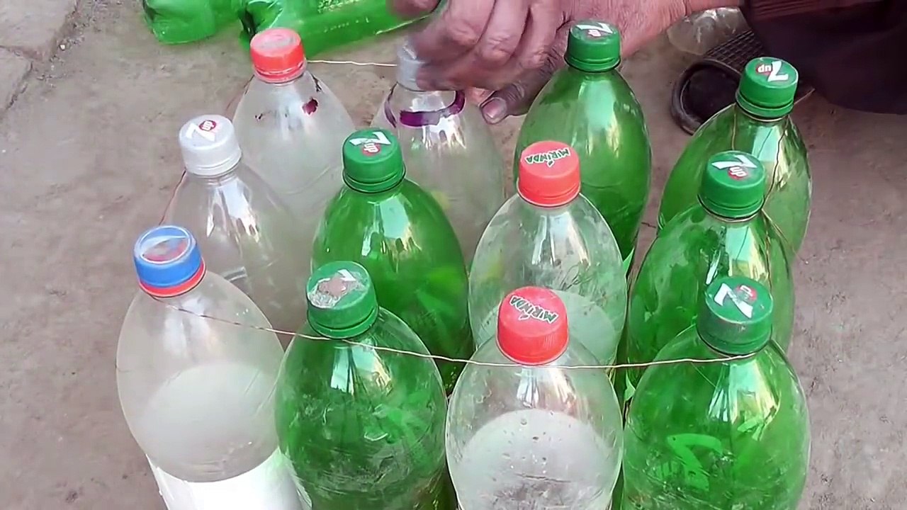 plastic bottle container for plants