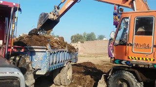 tractor videos 2018-tractor and excavator working loading dung