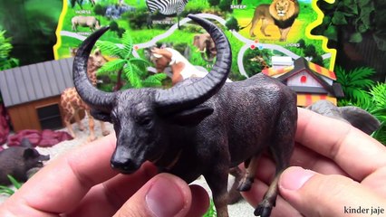 ZVUCI ZIVOTINJA - Domace i Divlje zivotinje Igracke za decu !! The Animal Sounds Song