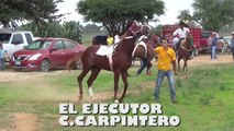 CARRERAS DE CABALLOS** ABIERTOS DE DOLORES**