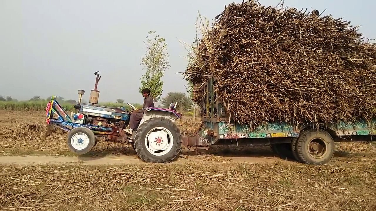 Tractor Stunt Ford 3610 with trolley sugarcan l...