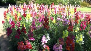 Royal Avenue Gardens Dartmouth filmed in 2012  and then 2017 what a difference.