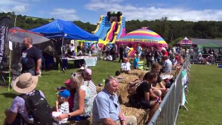 Video,Woofstockuk clips from the show in Coronation Park Dartmouth  U.K,
