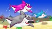 Baby Shark Faster! | Faster and Faster! | Animal Songs | Nursery Rhymes and Songs for Kids