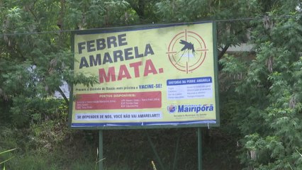 Brasil lucha contra la fiebre amarilla en vísperas de su popular carnaval