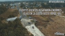 Impresionante: olas de más de nueve metros en la costa oeste de EE.UU. arrasaron vehículos