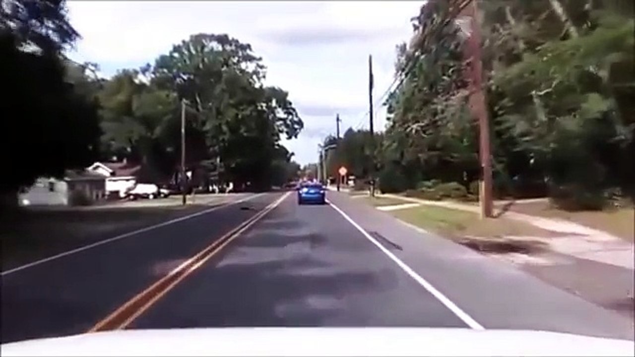 LUCKIEST ANIMALS -  CLOSE CALLS  LUCKY TO BE ALIVE!