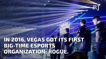 Getting to know team Rogue