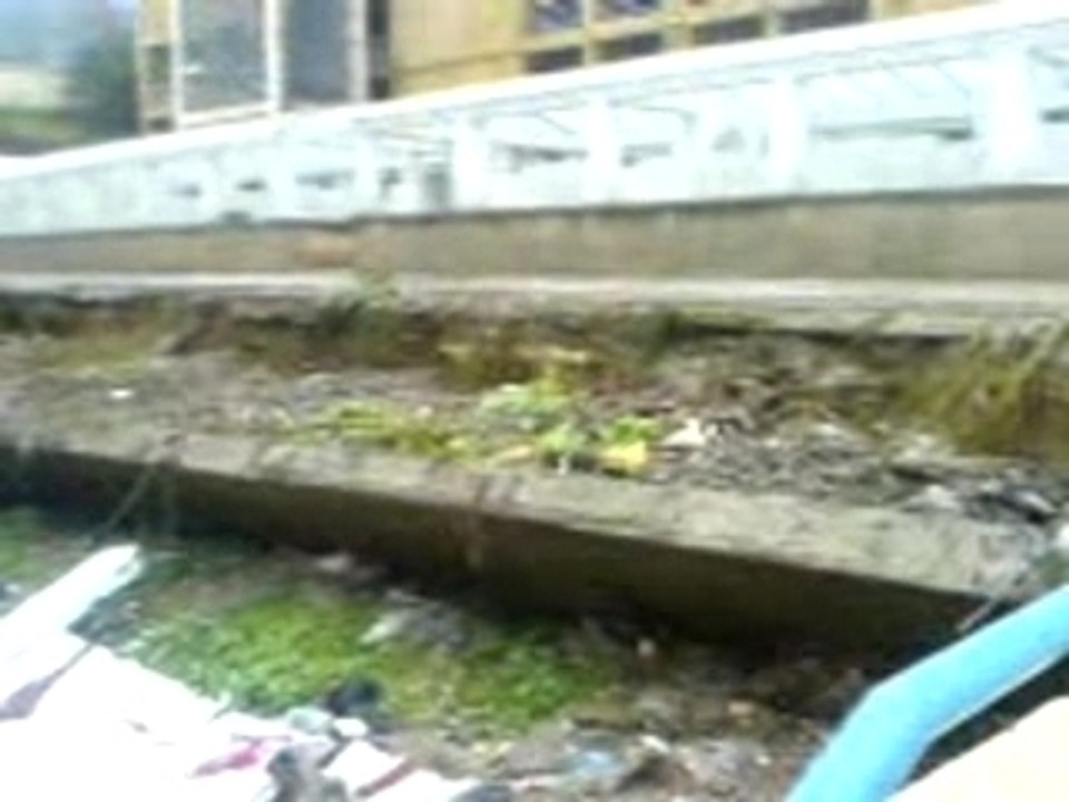 Une journée de pluie à Alger...