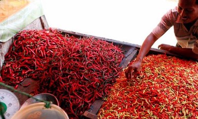 Harga Cabai Rawit dan Sayuran di Banjarmasin Melonjak Tajam