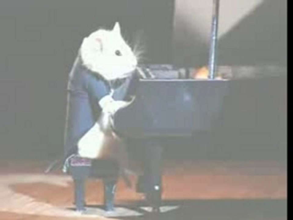 Equidia - Le Hamster