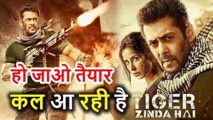 Tiger Zinda Hai को मिलेगा Christmas और New Year का फायदा, First Week Collection होगा इतना