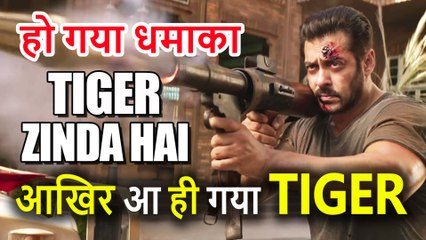 Tiger Zinda Hai को दुनियाभर में मिलीं 5700 Screens, Release हुई Salman Khan की Film