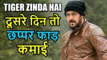 Tiger Zinda Hai 2nd Day Collection, कमाई हुई 69 Crore पार