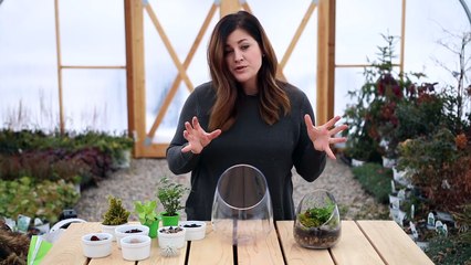 How to Make A Terrarium (Full Version) // Garden Answer