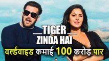 Tiger Zinda Hai की धमाकेदार शुरुआत, 2 दिनों में Worldwide Collection हुआ 100 Crore