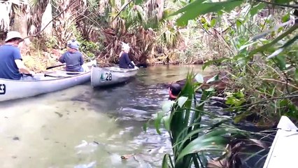 Another dose of Instant Karma