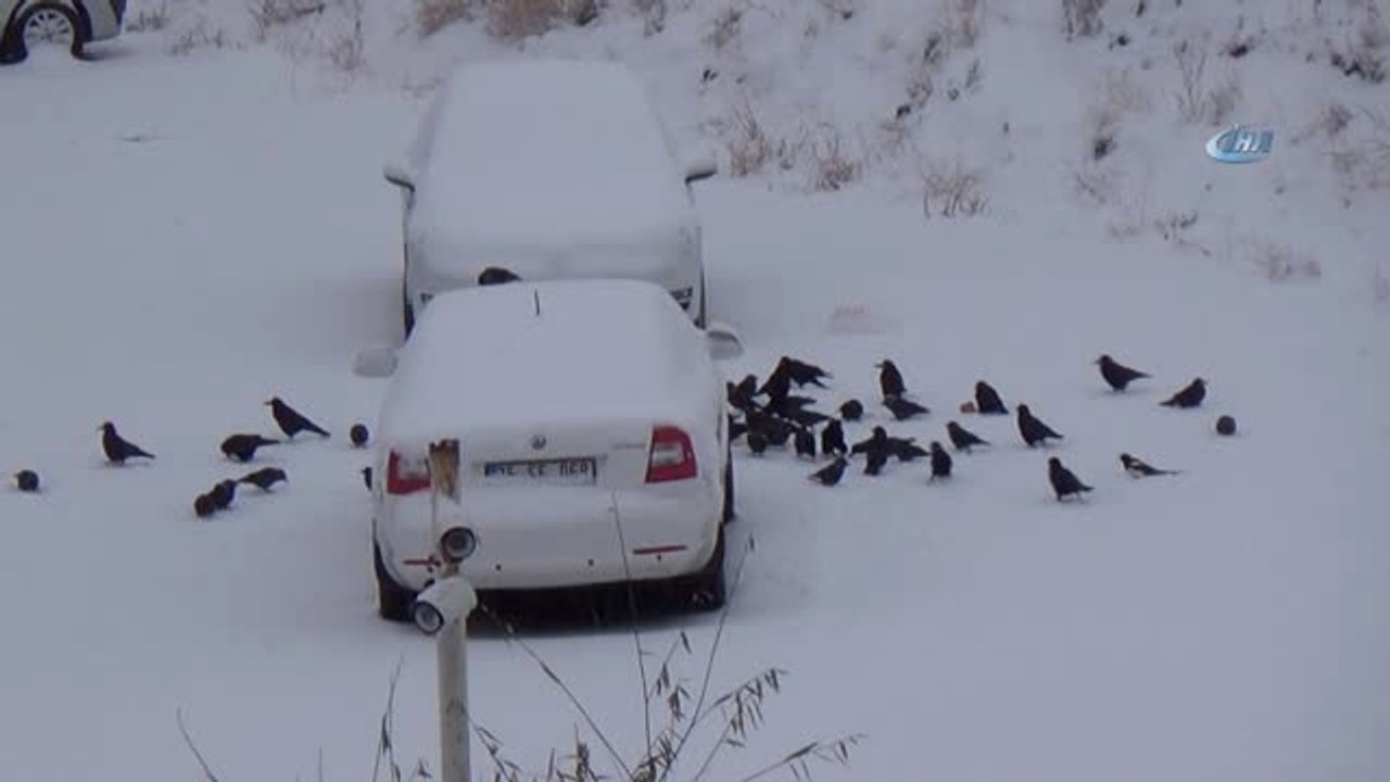 Çığ Gelen Erzurum-Bingöl Karayolu Ulaşıma Açıldı