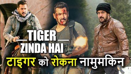 Tiger Zinda Hai ने 5th Day भी Box Office पर की ताबड़तोड़ कमाई, Total Collection हुआ इतना