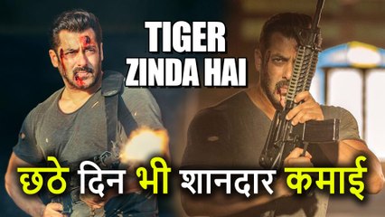 Tiger Zinda Hai ने 6th Day भी Box Office पर किया शानदार Collection, कमाए इतने करोड़