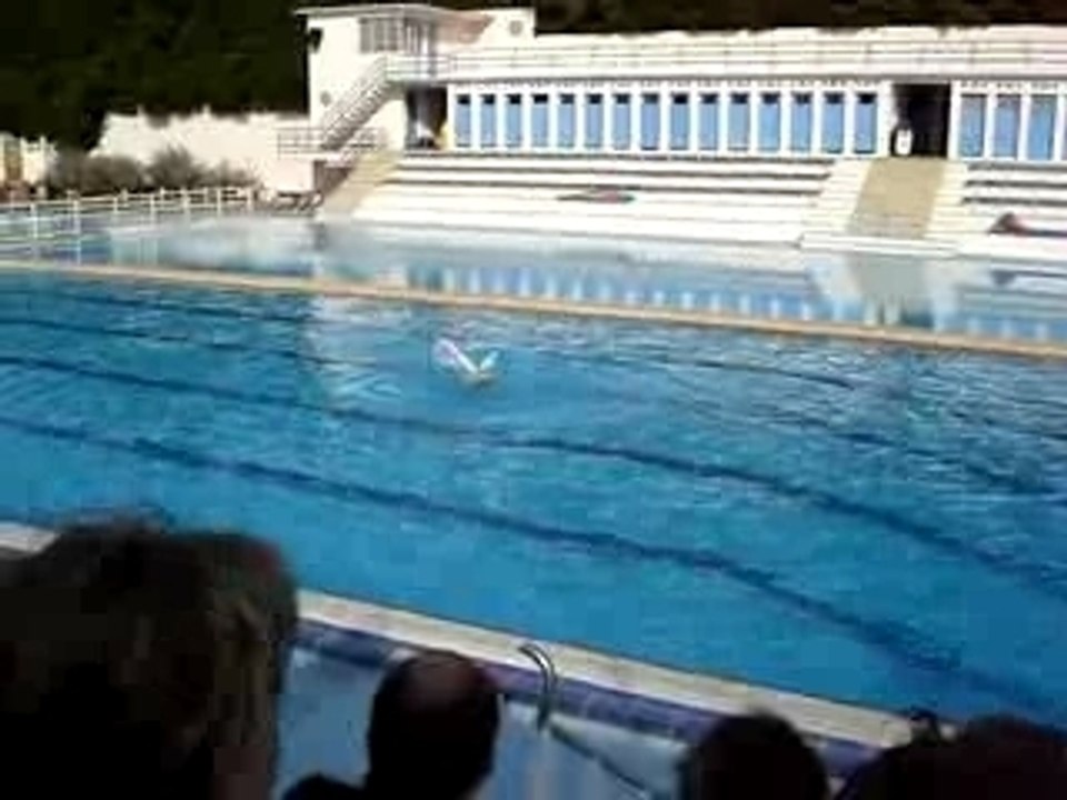 mon solo
