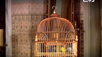 E049  حريم السلطان كامل الحلقة