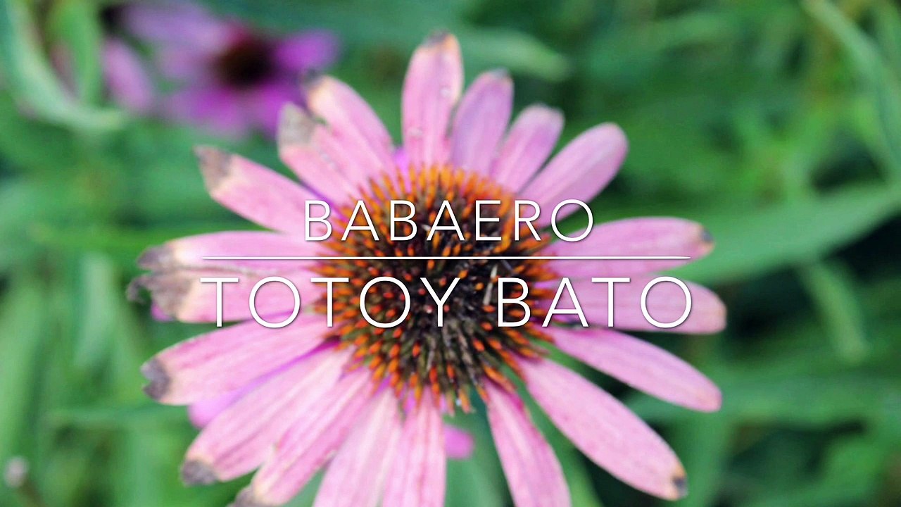 Babaero kapampangan Songs Totoy Bato video Dailymotion