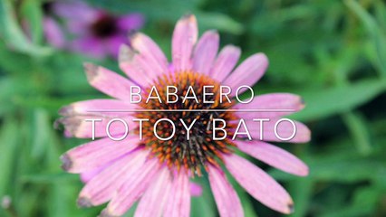 Babaero kapampangan Songs Totoy Bato