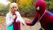 #6Frozen Elsa & Spiderman BOXING! w  Rapunzel Joker Maleficent Toys! Superhero Fun in real life IRL | Superheroes | Spiderman | Superman | Frozen Elsa | Joker
