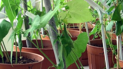 Sivas’ta bilim adamları kuraklığa çare arıyor