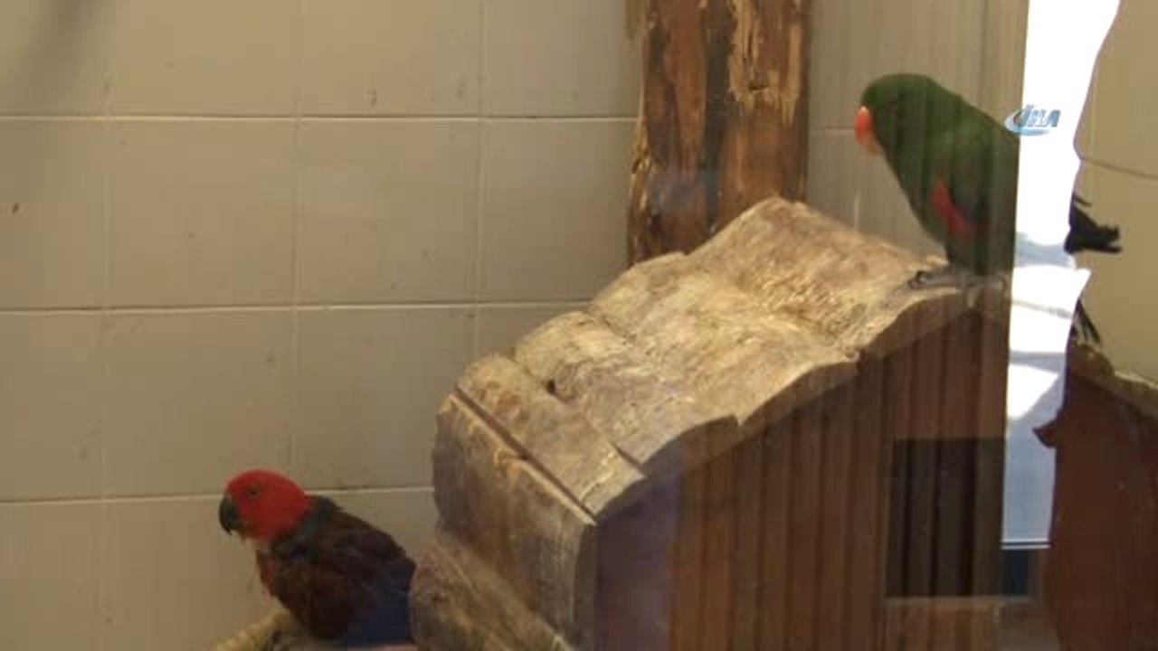 Anadolu Harikalar Diyarı Hayvanat Bahçesi Çetin Kış Şartlarına Hazır