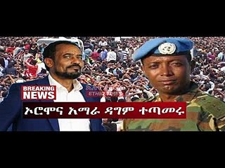 Ethiopia ኦሮሞና አማራ ዳግም ተጣመሩ  Oromo Amhara Alliance_mpeg4