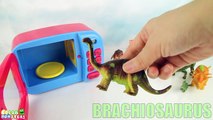 Dinosaurs Microwave Oven Funny Kid Video. Learning Dinosaurs Triceratops Tyrannosaurus Rex Names.