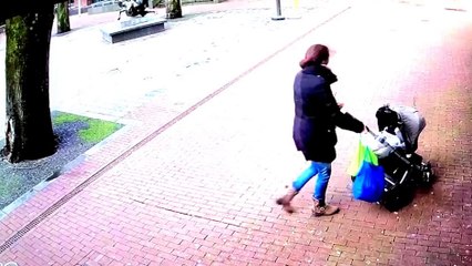 Un arbre tombe à côté d'une femme avec sa poussette