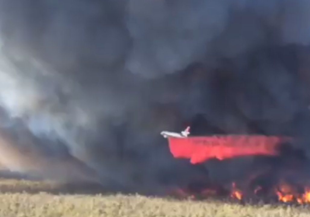 Aircraft Help Control Bushfires Burning in Sydney's Royal National Park
