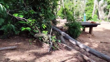 Fishing Tropical Islands in Search of Monster GT | Part 5 Most INSANE GT Hook Up (Full Video)