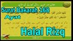 Halal Rizq | Surat Bakarah 168 | Ayat | HD Video
