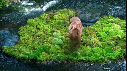 Walking with Dinosaurs 3D - Pt 03