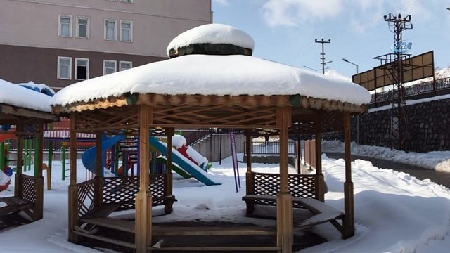 Bitlis'te yoğun kar yağışı nedeniyle 45 köy yolu ulaşıma kapandı