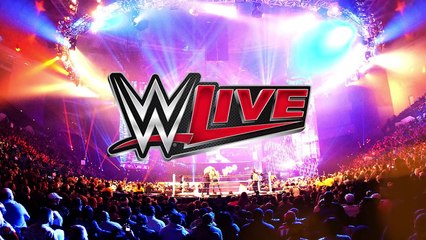 10 Times Fans Got Injured at Live WWE Events