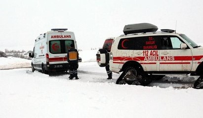 Karlıova'da 20 kilometre uzaklıktakaki köyde yaşayan 2 hastaya 4 saate ulaşıldı