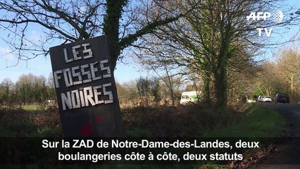 NDDL: sur la ZAD deux boulangeries côte à côte, deux statuts